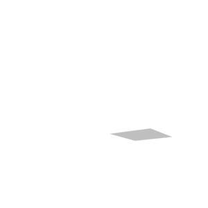 Svenska Spel